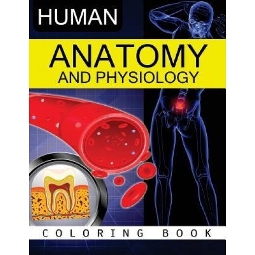 Anatomy & Physiology Coloring Book, Dr Frank K. Michael (Author)
