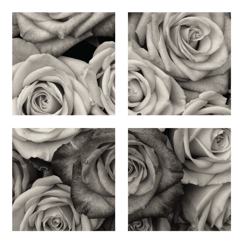 Trandafiri - Tablou canvas 4 piese - 80x80cm