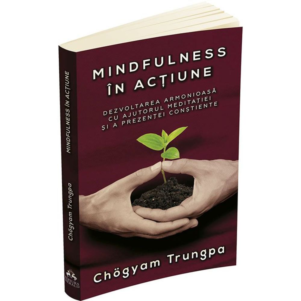 Mindfulness in actiune - Chogyam Trungpa