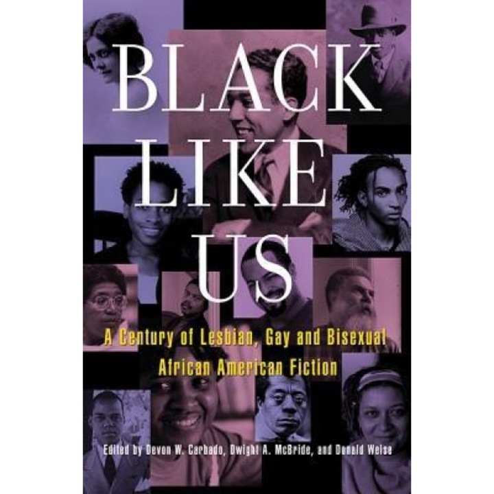 Black Like Us: A Century of Lesbian, Gay, and Bisexual African American Fiction, Devon W. Carbado (Editor)