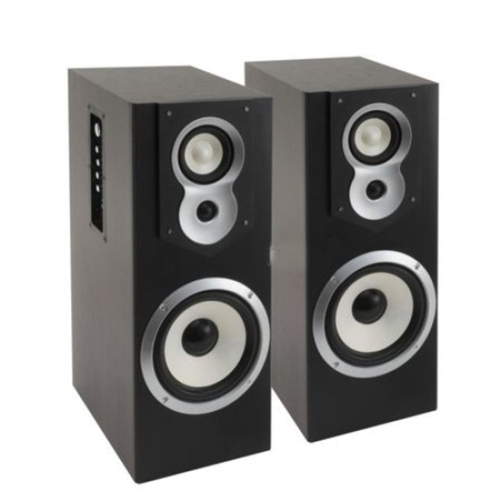 Комплект професионални безжични аудио високоговорители, Bluetooth връзка, FM радио, AUX IN, USB порт, SD карта, 2 x вход за микрофон, цвят черен