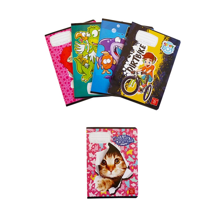 Set 5 bucati Caiet A5 24 file geometrie Pigna Clasic