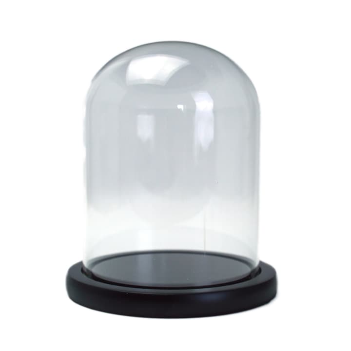 Bol Sticla tip Cupola suport plastic pentru decoratiuni fara floare 15x12cm