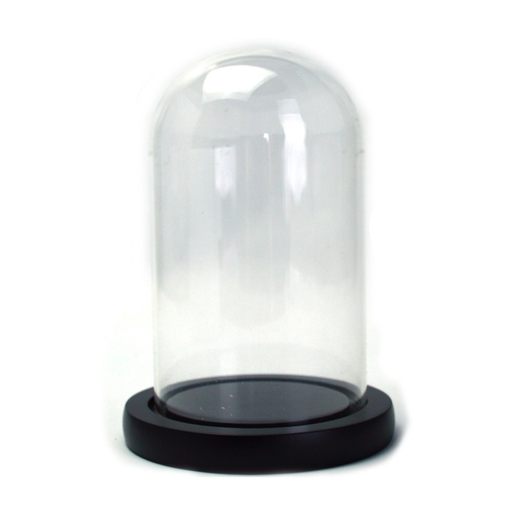 Bol Sticla tip Cupola suport plastic pentru decoratiuni fara floare 15x9cm