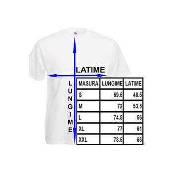 Tricou barbat imprimeu Fruit of the loom aniversare Viata incepe la 17 ani ,verde, XL Tricou barbat imprimeu Fruit of the loom aniversare Viata incepe la 17 ani ,verde, XL