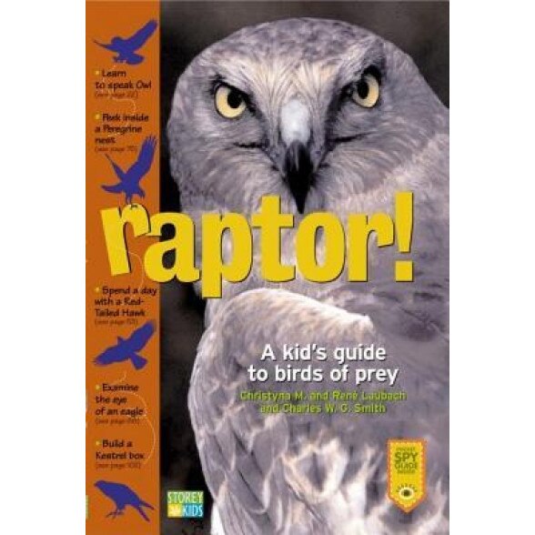Raptor!: A Kid's Guide to Birds of Prey, Charles W. G. Smith, Christyna Laubach, René Laubach