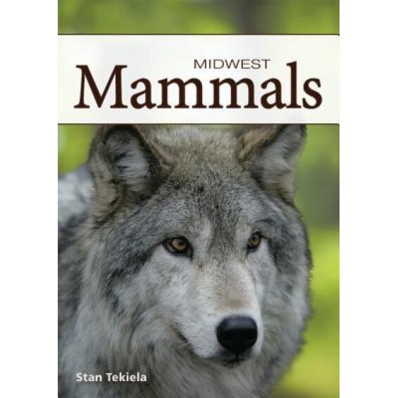 Mammals of the Midwest, Stan Tekiela (Photographer)
