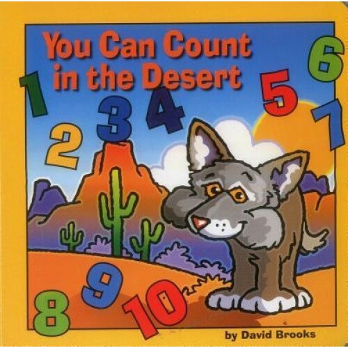 You Can Count in the Desert, David Brooks (Author)