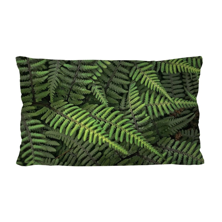 Perna decorativa Bertoni Ferns, 30 x 50 cm, Verde