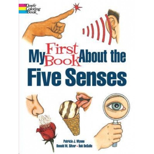 My First Book about the Five Senses, Patricia J. Wynne (Author)
