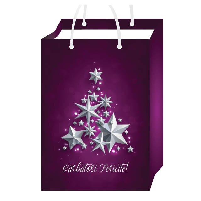 Set 25 Pungi Cadou Purple Stars GP014 25X35X8 CM