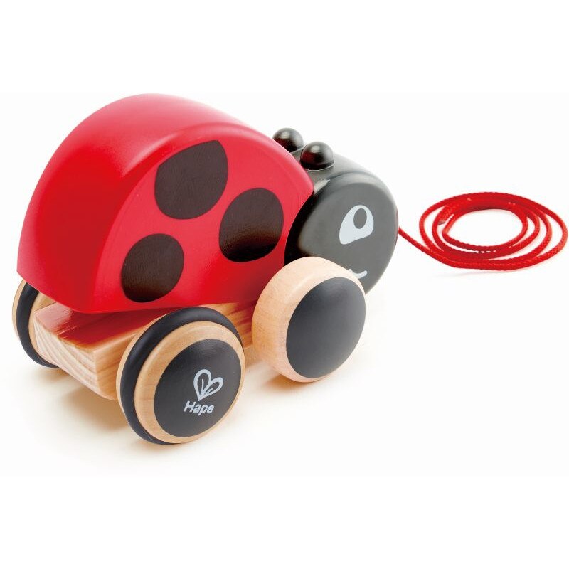 Jucarie din lemn tragand Hape