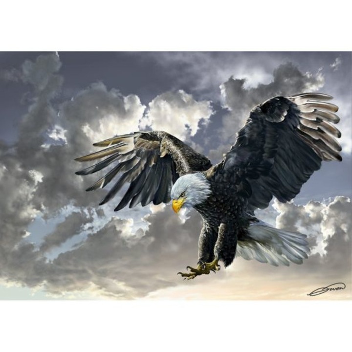 Art puzzle - Puzzle Kopasz sas az égen - 500 darab