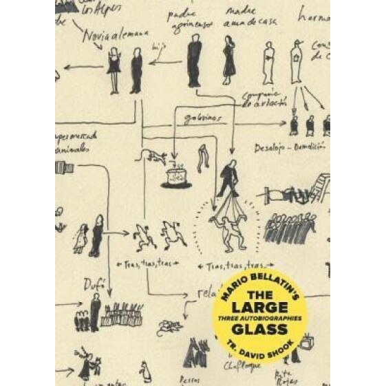 The Large Glass, Mario Bellatin (Author)