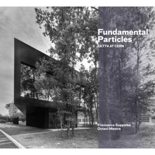 Fundamental Particles: Ea774 at Cern, Francesco Soppelsa (Author)