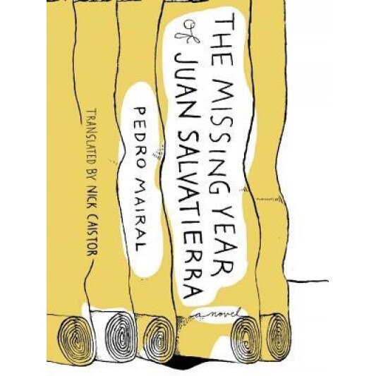 The Missing Year of Juan Salvatierra, Pedro Mairal (Author)