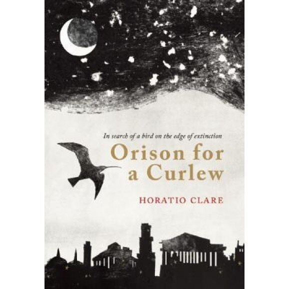 Orison for a Curlew: In Search for a Bird on the Edge of Extinction, Horatio Clare (Author)