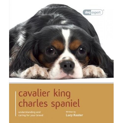 Cavalier King Charles, Lucy Koster (Author)