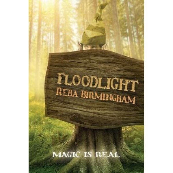 Floodlight: Book One in the Hercynian Forest Series, Reba Birmingham (Author)