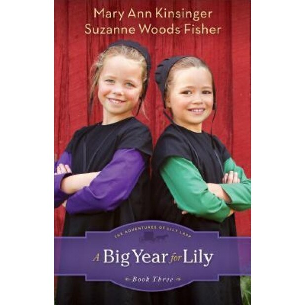 A Big Year for Lily, Mary Ann Kinsinger (Author)