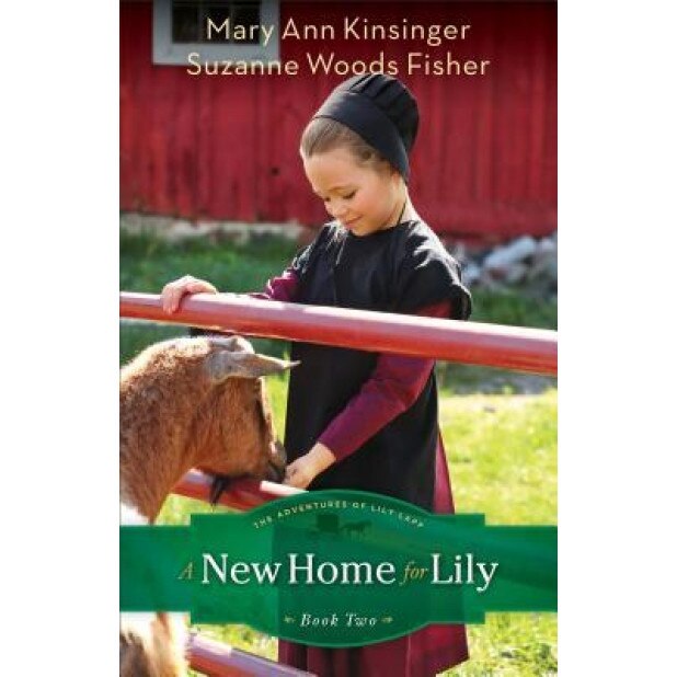 A New Home for Lily, Mary Ann Kinsinger (Author)