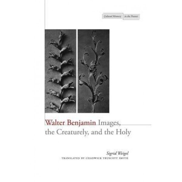 Walter Benjamin: Images, the Creaturely, and the Holy, Sigrid Weigel (Author)
