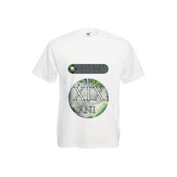 Tricou barbatesc personalizat Fruit of the loom mesaj aniversar Achievement Unlocked 29 ani,alb, M Tricou barbatesc personalizat Fruit of the loom mesaj aniversar Achievement Unlocked 29 ani,alb, M