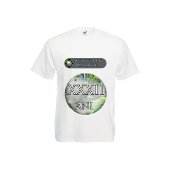 Tricou barbatesc personalizat Fruit of the loom mesaj aniversar Achievement Unlocked 32 ani,alb, XXL Tricou barbatesc personalizat Fruit of the loom mesaj aniversar Achievement Unlocked 32 ani,alb, XXL