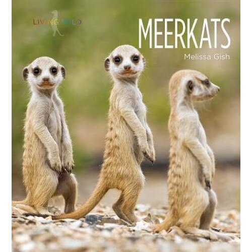 Meerkats: Living Wild, Melissa Gish (Author)
