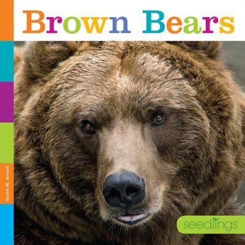 Seedlings: Brown Bears, Quinn M. Arnold (Author)