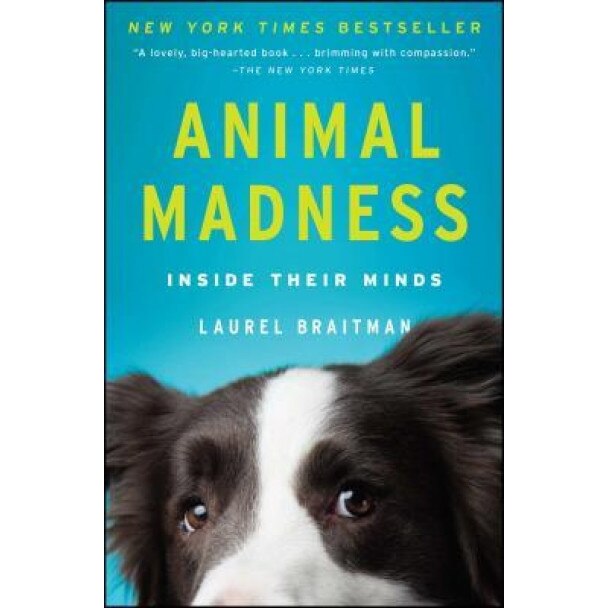 Animal Madness: Inside Their Minds, Laurel Braitman (Author)