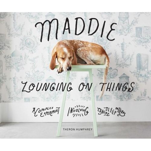 Maddie Lounging on Things: A Complex Experiment Involving Canine Sleep Patterns, Theron Humphrey (Author)