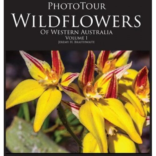 Phototour Wildflowers of Western Australia Vol1: A Photographic Journey Through a Natural Kaleidoscope, Jeremy H. Braithwaite (Author)