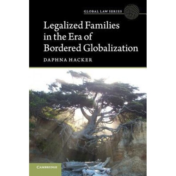 Legalized Families in the Era of Bordered Globalization, Daphna Hacker (Author)