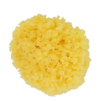 Burete de baie natural Caribbean marimea S (mic) Forster's Natural Products Burete de baie natural Caribbean marimea S (mic) Forster's Natural Products