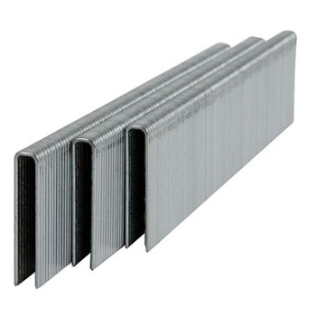 Set capse Powerplus KRT304025 1.2 x 6 X 25 mm pentru capsator POWX138, 1000 buc din zinc Set capse Powerplus KRT304025 1.2 x 6 X 25 mm pentru capsator POWX138, 1000 buc din zinc