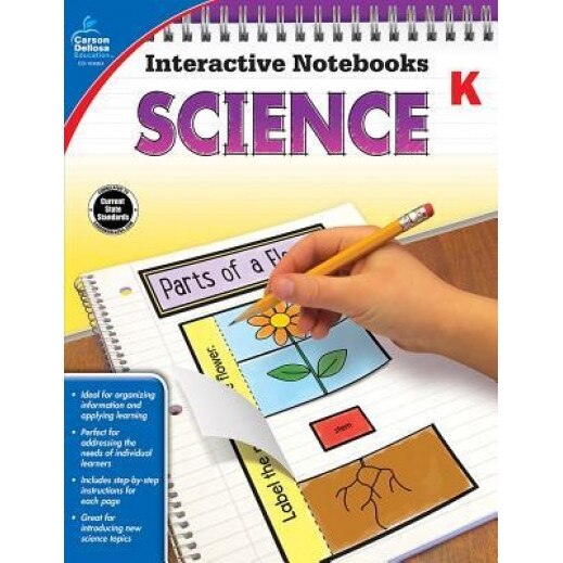 Science, Grade K, Holly Rafidi (Author)
