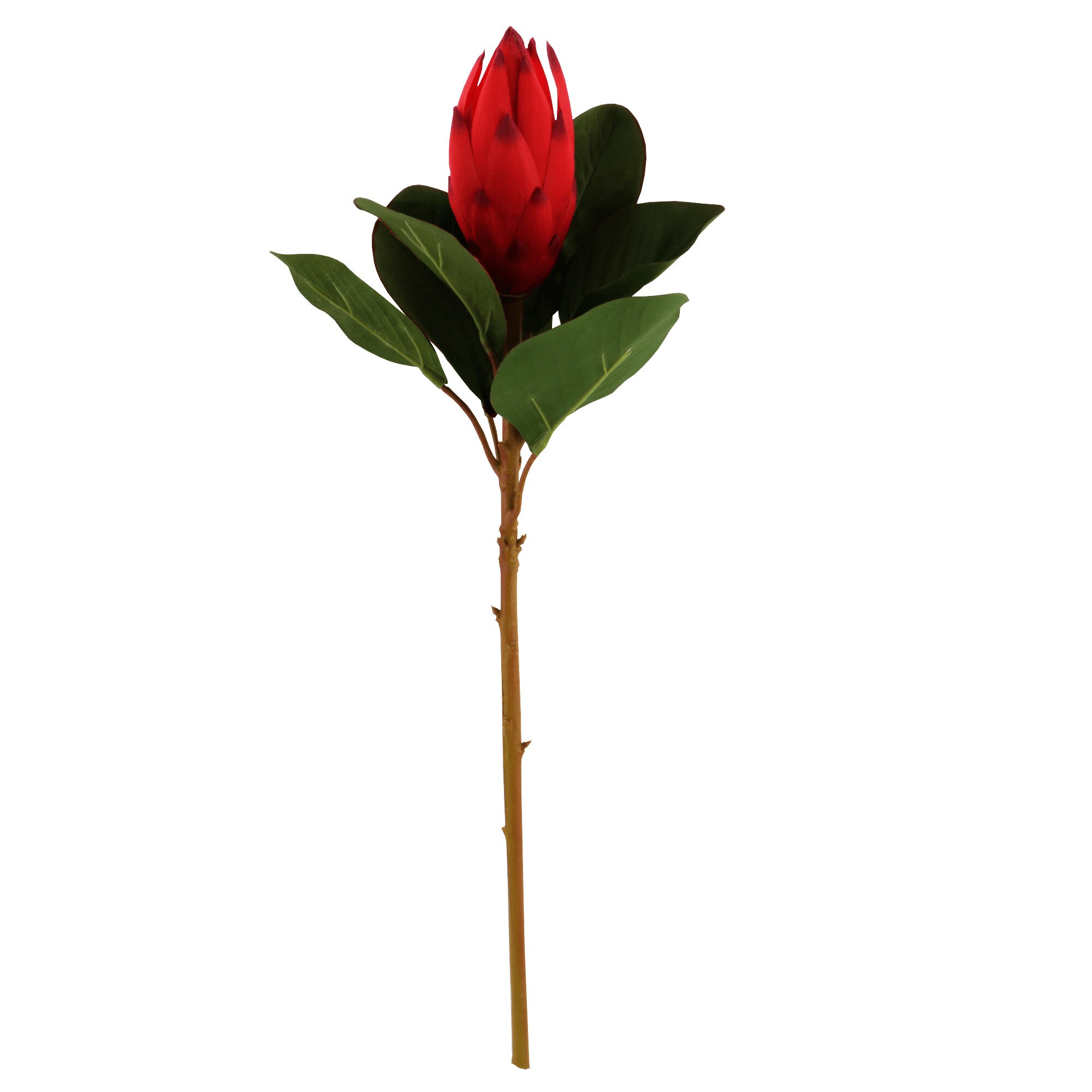 Protea artificiala, 54.5 cm, Rosu