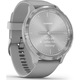 Ceas smartwatch Garmin Vivomove 3, Gri