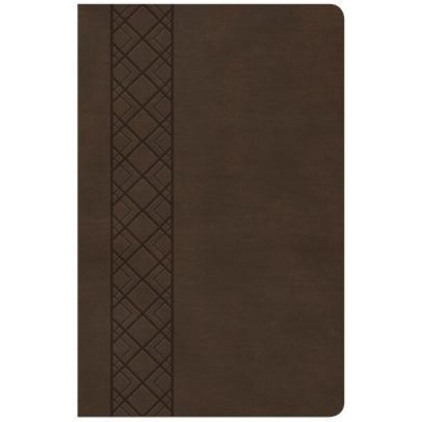 KJV Ultrathin Reference Bible, Value Edition, Brown Leathertouch, Holman Bible Staff (Editor)