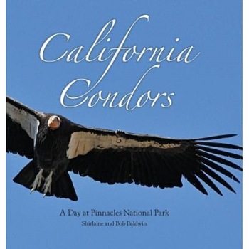 California Condors: A Day at Pinnacles National Park, Shirlaine Baldwin (Author) California Condors: A Day at Pinnacles National Park, Shirlaine Baldwin (Author)