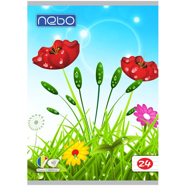 Caiet special Nebo tip II 24 file