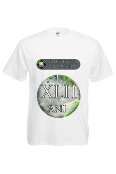 Tricou barbatesc personalizat Fruit of the loom mesaj aniversar achievement unlocked 42 ani,alb, Alb Tricou barbatesc personalizat Fruit of the loom mesaj aniversar achievement unlocked 42 ani,alb, Alb