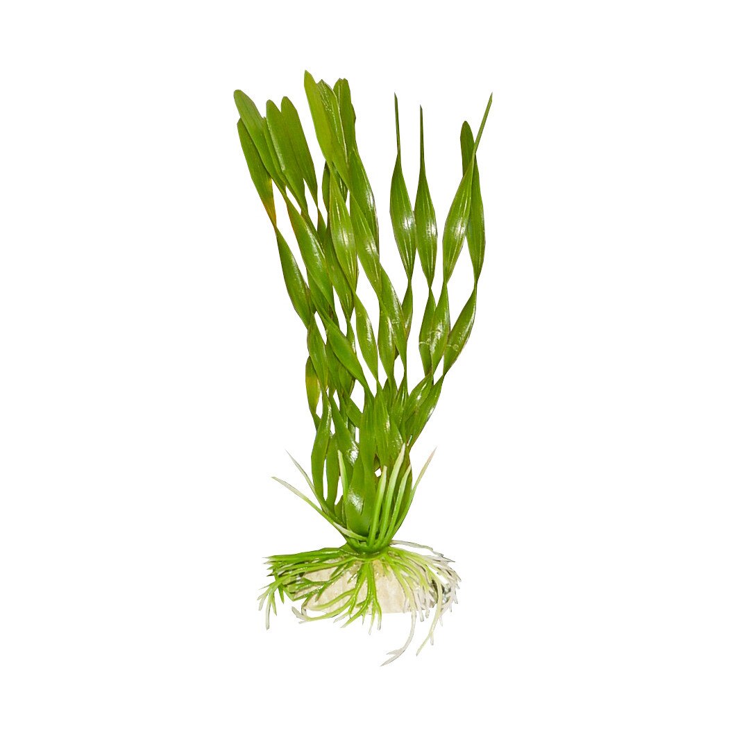 Planta plastic acvariu Vallisneria americana 20 cm