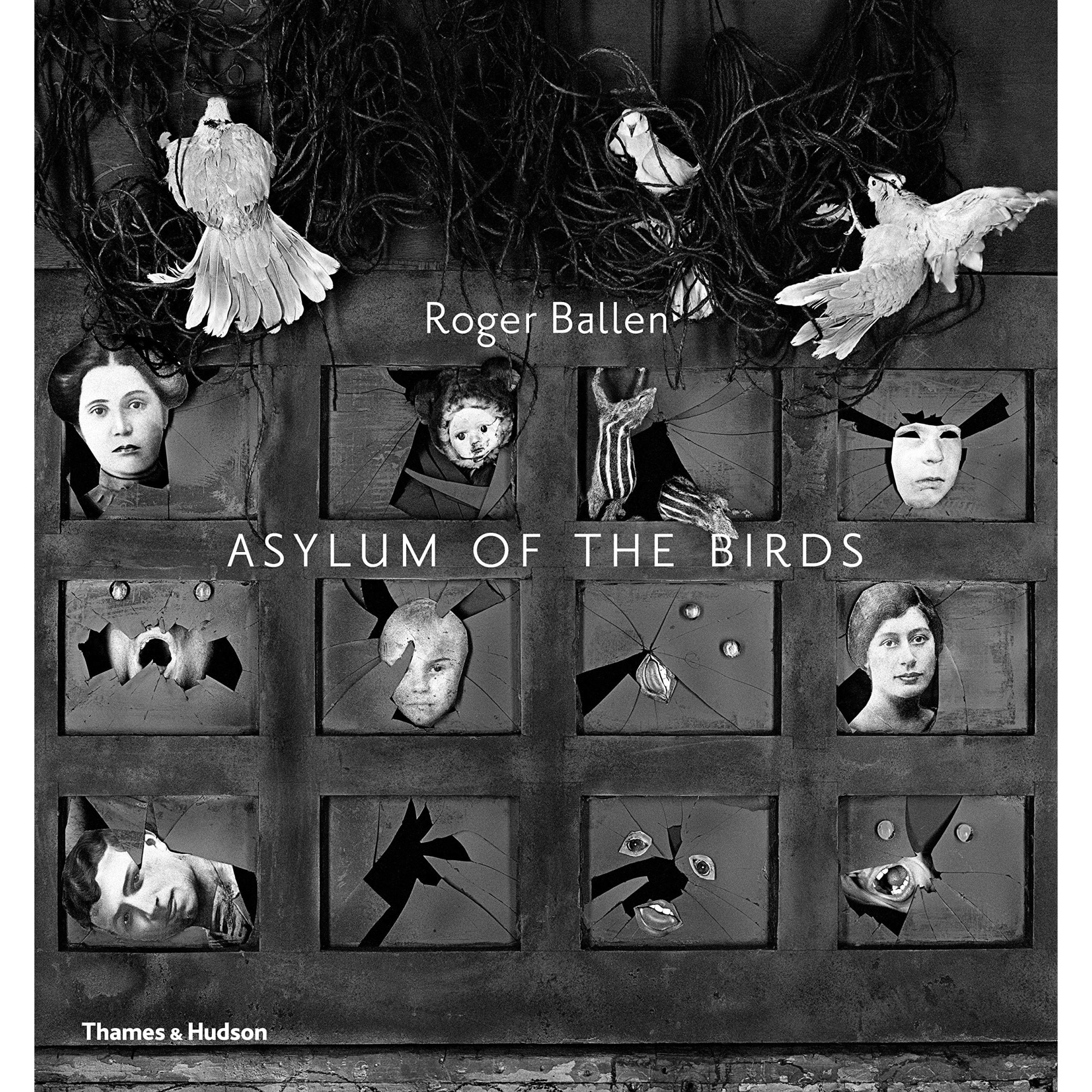 Asylum of the Birds - Roger Balle