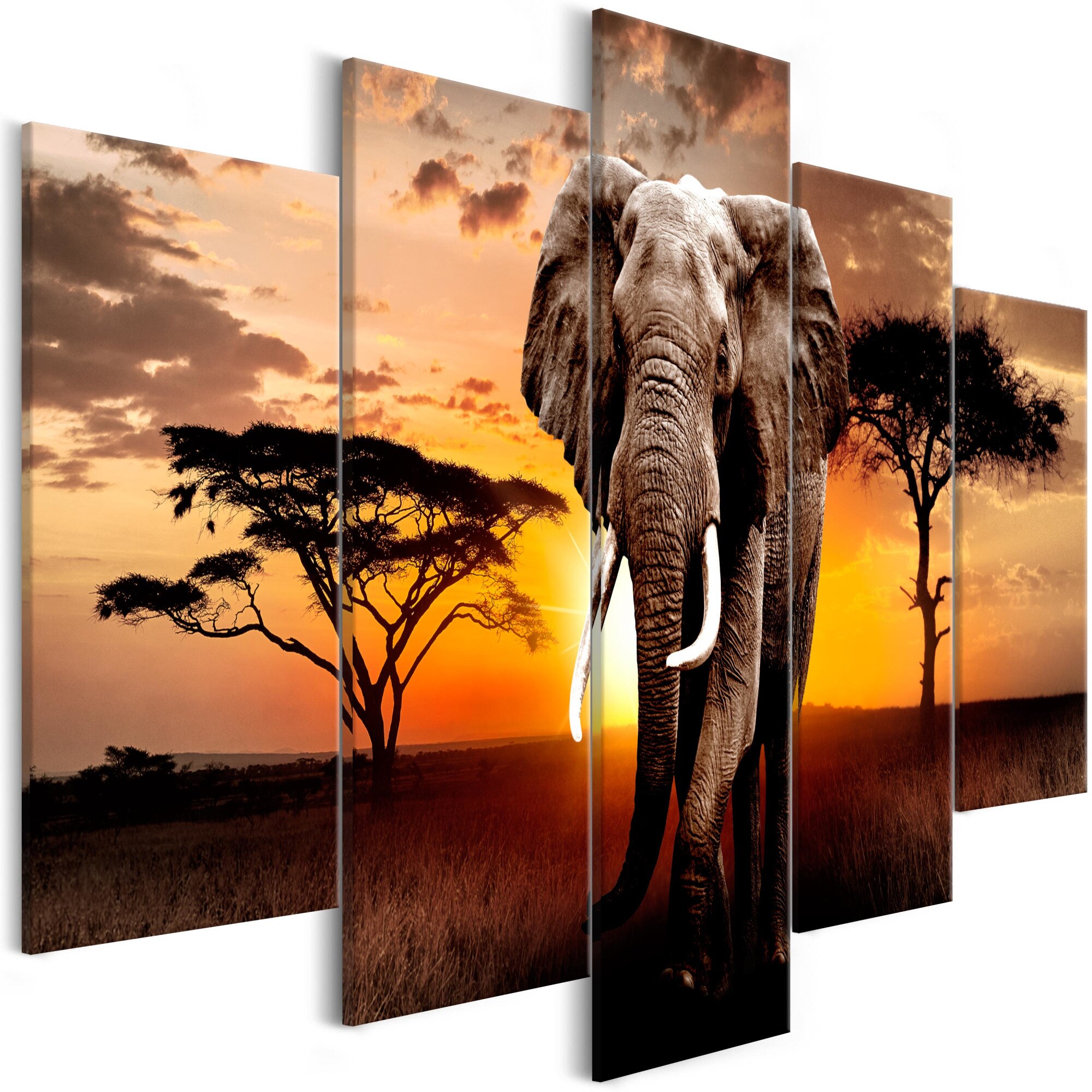 Tablou canvas 5 piese - Elefant ratacitor larg - 225 x 100 cm