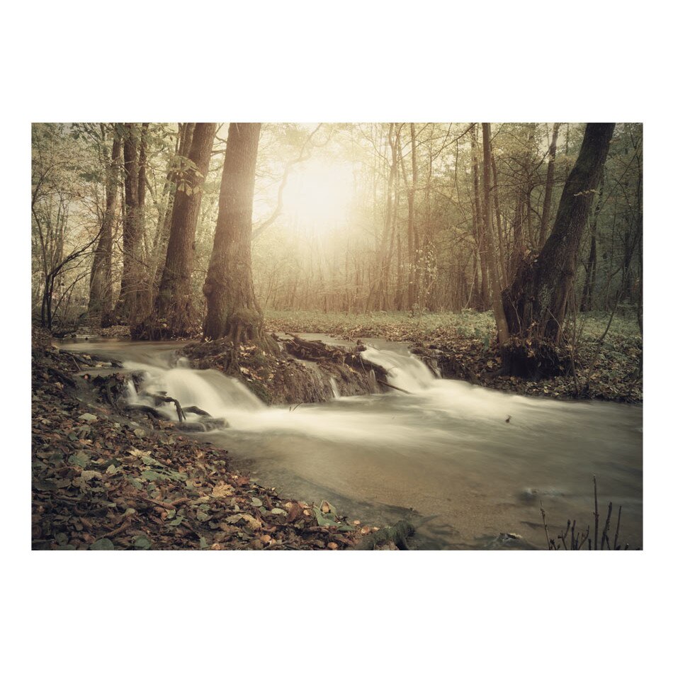 Fototapet vlies - Cascada de padure - 250 x 175 cm