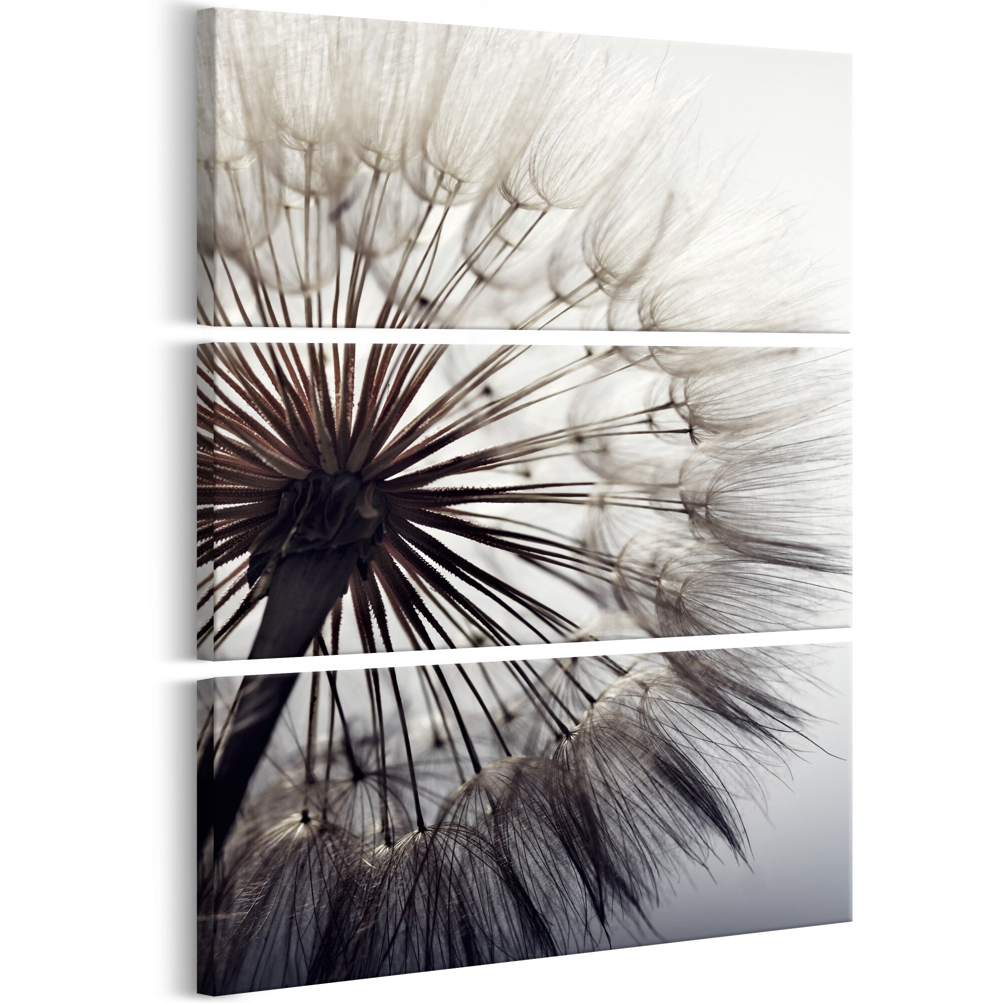 Tablou canvas 3 piese - Delicatie pura I - 80 x 120 cm