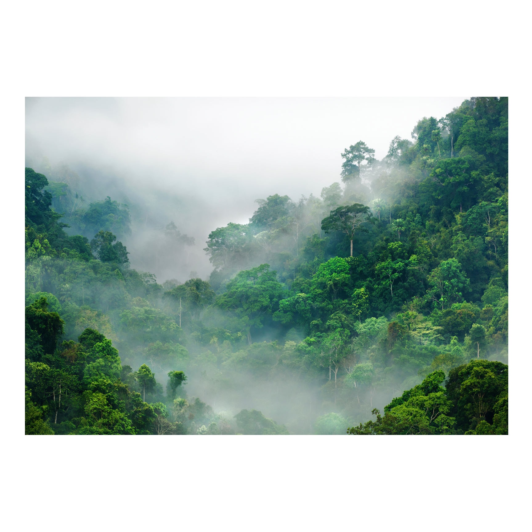 Fototapet vlies - Ceata de dimineata - 400 x 280 cm