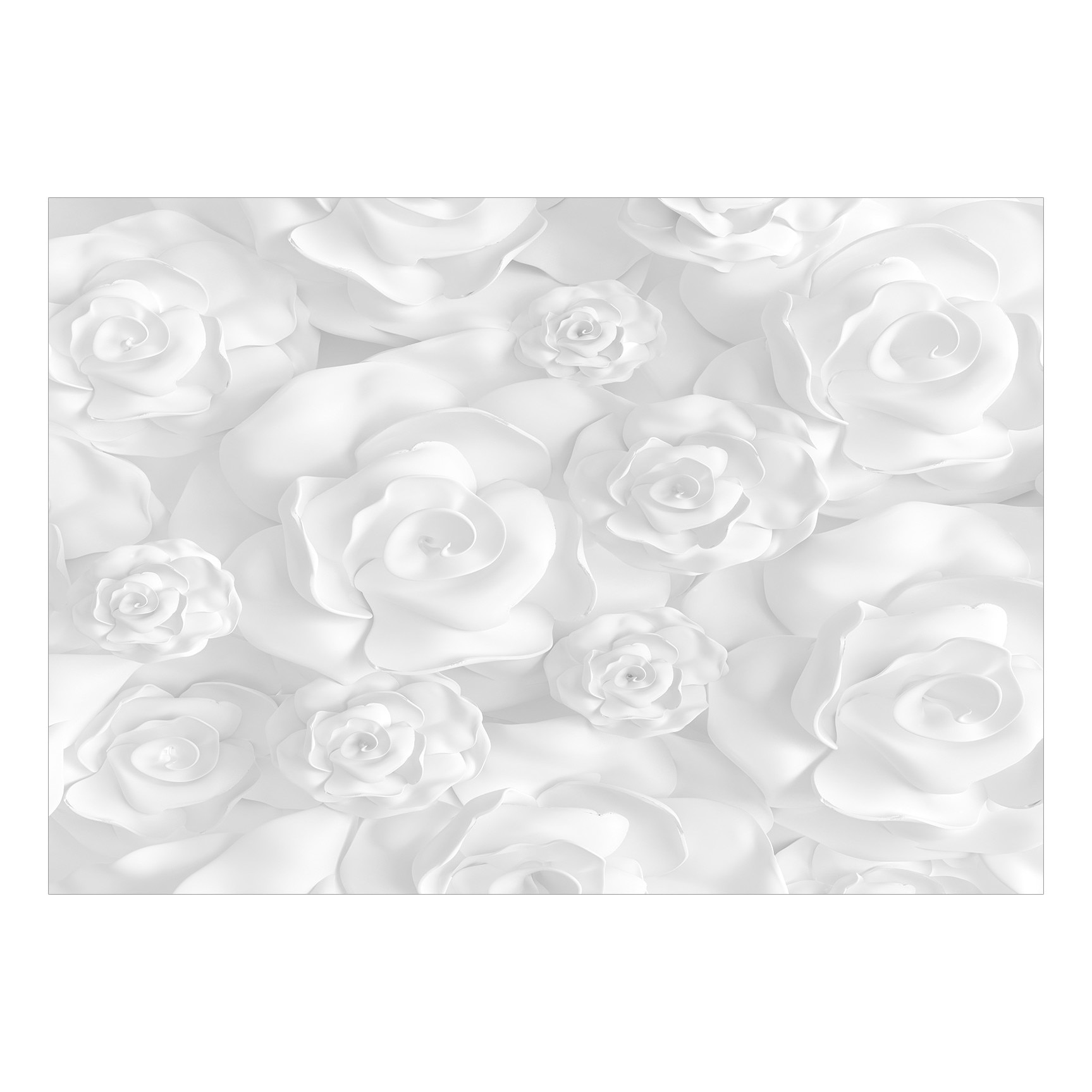 Fototapet vlies - Flori de ipsos - 400 x 280 cm